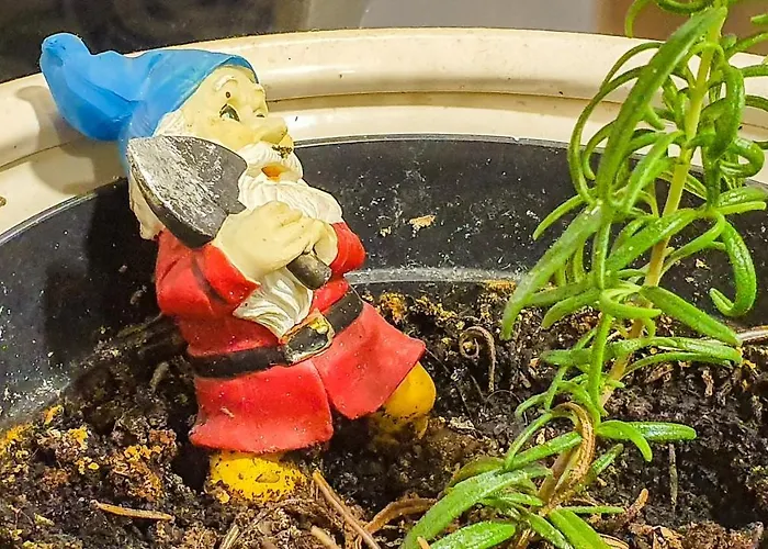 Pod Zaglami Teresa Strzemkowska *