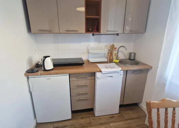 Pod Zaglami Teresa Strzemkowska Apartment Białogóra